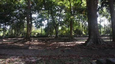 Arkeolojik site Dhavaravadi ve Khmer aera Dong Lakhon tarihi şehir veya Muang Boran Dong Lakhon Tayland 'ın Nakhon Nayok kentindeki Dong Yai tepesine seyahat eden insanlar için antik Laplae kasabası
