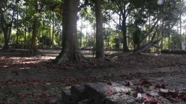 Arkeolojik site Dhavaravadi ve Khmer aera Dong Lakhon tarihi şehir veya Muang Boran Dong Lakhon Tayland 'ın Nakhon Nayok kentindeki Dong Yai tepesine seyahat eden insanlar için antik Laplae kasabası