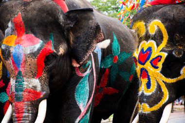 Filler, Songkran Festivali 'ne katılan canlı boyanmış vücut filleri ve Tayland mahout bakıcıları, gezginlere su püskürtmek için hortumlar kullanıyor. Ayutthaya, Tayland' da su sıçratarak veya savaşarak seyahat ediyorlar.