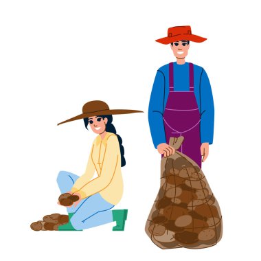 Patates taşıyıcısı hasat ediliyor. tarım yiyeceği, organik tarla, taze sebze, bitki yetiştiriciliği, patates hasadı karakteri. İnsanlar düz çizgi film çizimi