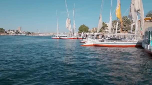 Nílus Folyó Aswan Egyiptom Délután Lövés Bemutató Feluccas Hajók Folyóban — Stock videók