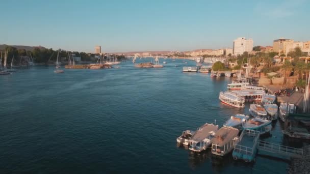 Río Nilo Asuán Egipto Foto Tarde Mostrando Las Felucas Barcos — Vídeo de stock