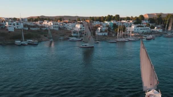 Nile River Aswan Egypt Afternoon Shot Showing Feluccas Boats River — Video