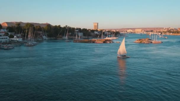 Fiume Nilo Assuan Egitto Ripresa Pomeridiana Che Mostra Feluche Barche — Video Stock