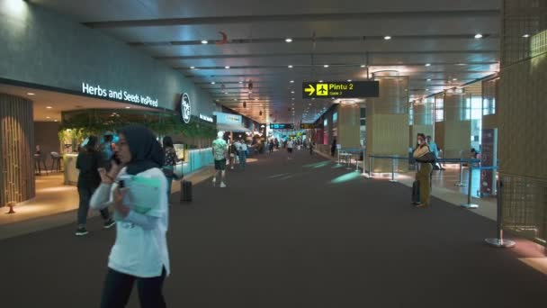 Aeroporto Internazionale Bali Noto Anche Come Bali Ngurah Rai International — Video Stock
