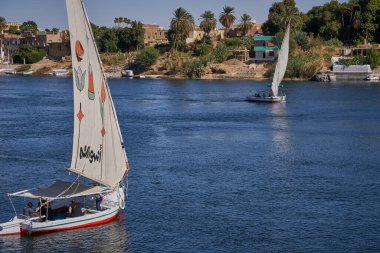 Aswan, Mısır 'daki Nil nehri öğleden sonra çekimleri Aswan Botanik Bahçesi' nden arkadaşlarla ve nehirde teknelerle manzarayı gösteriyor.