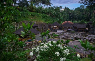 Goa Gajah veya Fil Mağarası Endonezya 'nın Ubud yakınlarındaki Bali adasında yer almaktadır. 9. yüzyılda inşa edildi, bir sığınak olarak hizmet verdi..