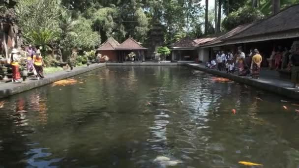 Templo Tirta Empul Templo Hindú Agua Balinés Bali Indonesia Complejo — Vídeo de stock