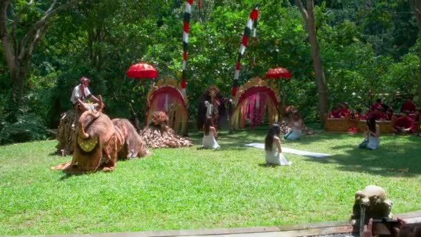 Het Verhaal Van Lubdaka Balinese Performance Monkey Forest Ubud Bali — Stockvideo