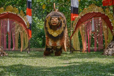 Ubud, Bali Endonezya - 25 Nisan 2023: Lubdaka Balili Maymun Ormanı Ubud, Bali