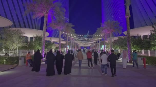 位于卡塔尔卢萨尔市的卢萨尔街拍摄了一张下午的照片 展示了参加Afc 2023亚洲杯庆祝亚洲文化多样性的国家的 Hello Asia 夜间射击 — 图库视频影像