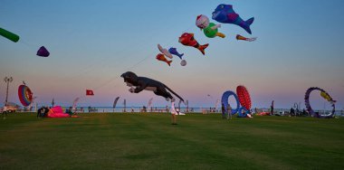 Doha, Katar - 21 Ocak 2025: Katar Kite Festivali 2025 Eski Doha Limanı 'nda (Mina Bölgesi) gün batımı çekimleri, renkli uçurtmaların muhteşem bir şekilde gökyüzünde süzüldüğünü gösteriyor.. 