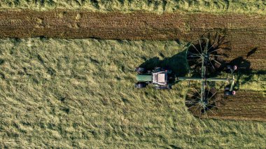 Saman hasat ve kurutma. Çim biçme makinesi taze kesilmiş çimlere dönüşüyor. Drone fotoğrafı.