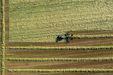 Saman hasat ve kurutma. Çim biçme makinesi taze kesilmiş çimlere dönüşüyor. Drone fotoğrafı.