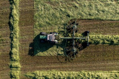 Saman hasat ve kurutma. Çim biçme makinesi taze kesilmiş çimlere dönüşüyor. Drone fotoğrafı.