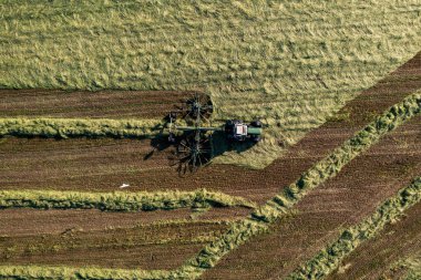 Saman hasat ve kurutma. Çim biçme makinesi taze kesilmiş çimlere dönüşüyor. Drone fotoğrafı.