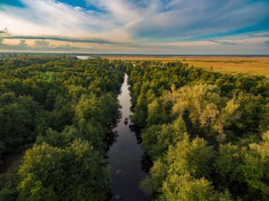 Nehrin havadan görünüşü, yükselen güneşin ışığında orman ve tarlalar. Kherson bölgesi, Kherson, Ukrayna.