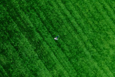 Parktaki büyük yeşil bir çayırda birbirine aşık bir çift. Mutluluk ve sükunetin drone görüntüsü.