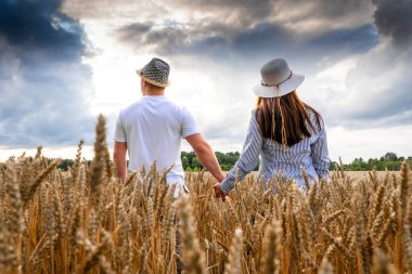 Birbirine aşık bir çift buğday tarlasında dinlenmeyi sever. Romantik bir çift altın buğday tarlasında yürüyor. İnsanların konsepti, yaşam tarzı, seyahat, doğa ve dinlenme.