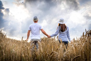 Birbirine aşık bir çift buğday tarlasında dinlenmeyi sever. Romantik bir çift altın buğday tarlasında yürüyor. İnsanların konsepti, yaşam tarzı, seyahat, doğa ve dinlenme.