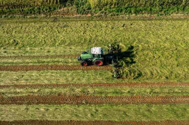 Bad Zwischenahn, Almanya, 07.09.2023. Saman hasat ve kurutma. Çim biçme makinesi taze kesilmiş çimlere dönüşüyor. Drone fotoğrafı.