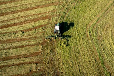 Bad Zwischenahn, Almanya, 07.09.2023. Saman hasat ve kurutma. Çim biçme makinesi taze kesilmiş çimlere dönüşüyor. Drone fotoğrafı.