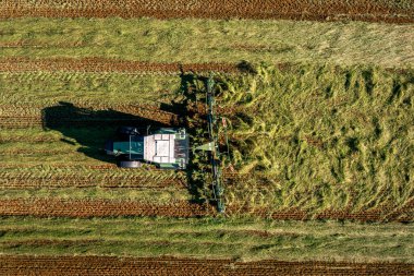 Bad Zwischenahn, Almanya, 07.09.2023. Saman hasat ve kurutma. Çim biçme makinesi taze kesilmiş çimlere dönüşüyor. Drone fotoğrafı.