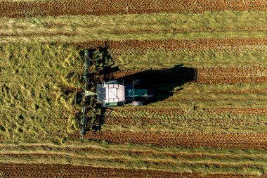 Bad Zwischenahn, Almanya, 07.09.2023. Saman hasat ve kurutma. Çim biçme makinesi taze kesilmiş çimlere dönüşüyor. Drone fotoğrafı.