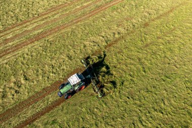 Bad Zwischenahn, Almanya, 07.09.2023. Saman hasat ve kurutma. Çim biçme makinesi taze kesilmiş çimlere dönüşüyor. Drone fotoğrafı.