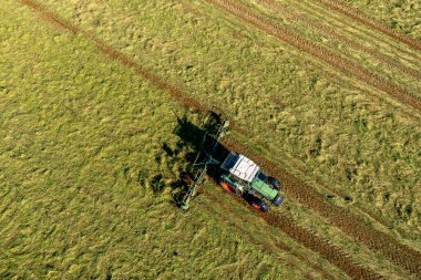 Bad Zwischenahn, Almanya, 07.09.2023. Saman hasat ve kurutma. Çim biçme makinesi taze kesilmiş çimlere dönüşüyor. Drone fotoğrafı.