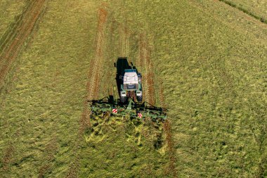 Bad Zwischenahn, Almanya, 07.09.2023. Saman hasat ve kurutma. Çim biçme makinesi taze kesilmiş çimlere dönüşüyor. Drone fotoğrafı.