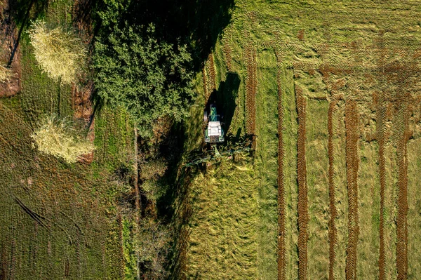 Bad Zwischenahn, Almanya, 07.09.2023. Saman hasat ve kurutma. Çim biçme makinesi taze kesilmiş çimlere dönüşüyor. Drone fotoğrafı.