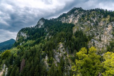 Almanya dağlarına sonbahar yağmuru. Mountainside, Bovaria 'da yağmurlu bir günde ormanla kaplıydı..
