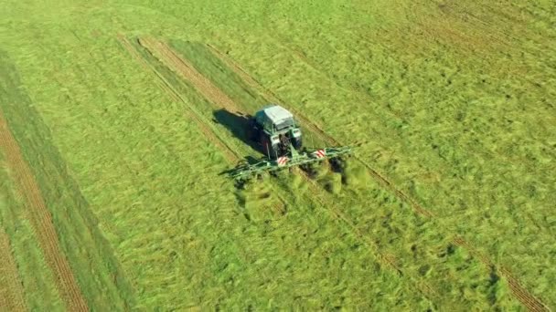 Traktor Skruvar Upp Gräset Flygutsikt Traktor Skörd Ekologiskt Jordbruk — Stockvideo