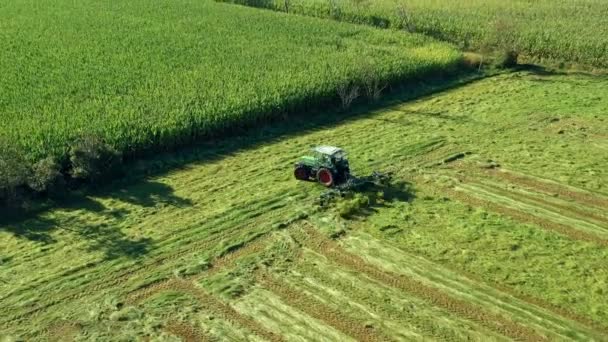 Tractor Turns Grass Aerial View Tractor Harvesting Ecological Agriculture — Stock Video