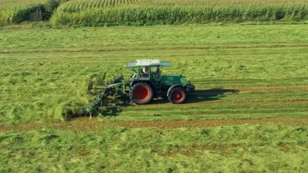 Een Tractor Zet Het Gras Vanuit Lucht Gezien Tractor Tijdens — Stockvideo
