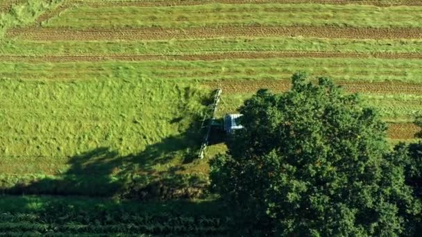 Tractor Stârnește Iarbă Vedere Aeriană Tractorul Timpul Recoltării Agricultura Ecologică — Videoclip de stoc
