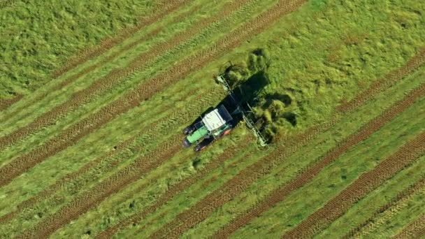 Tractor Sube Hierba Vista Aérea Tractor Durante Cosecha Agricultura Ecológica — Vídeo de stock
