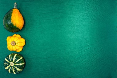 Yeşil arka planda dekoratif balkabakları. Sonbahar hasadı Cadılar Bayramı için hazır..