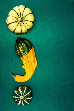 Yeşil arka planda dekoratif balkabakları. Sonbahar hasadı Cadılar Bayramı için hazır..