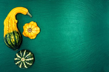 Yeşil arka planda dekoratif balkabakları. Sonbahar hasadı Cadılar Bayramı için hazır..