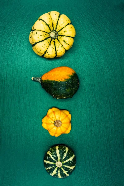 Yeşil arka planda dekoratif balkabakları. Sonbahar hasadı Cadılar Bayramı için hazır..