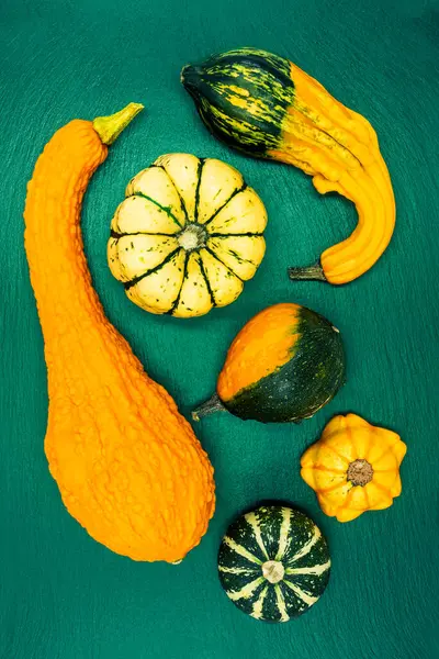 Yeşil arka planda dekoratif balkabakları. Sonbahar hasadı Cadılar Bayramı için hazır..