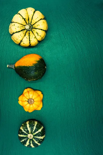 Yeşil arka planda dekoratif balkabakları. Sonbahar hasadı Cadılar Bayramı için hazır..