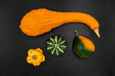 Siyah arka planda dekoratif balkabakları. Sonbahar hasadı Cadılar Bayramı için hazır..