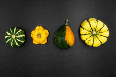 Siyah arka planda dekoratif balkabakları. Sonbahar hasadı Cadılar Bayramı için hazır..