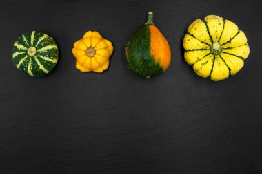 Siyah arka planda dekoratif balkabakları. Sonbahar hasadı Cadılar Bayramı için hazır..