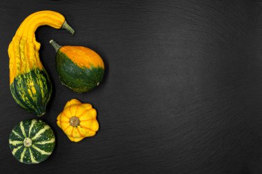 Siyah arka planda dekoratif balkabakları. Sonbahar hasadı Cadılar Bayramı için hazır..