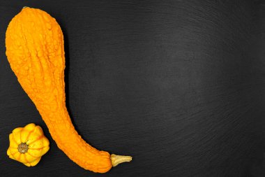 Siyah arka planda dekoratif balkabakları. Sonbahar hasadı Cadılar Bayramı için hazır..