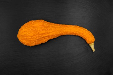 Siyah arka planda dekoratif balkabakları. Sonbahar hasadı Cadılar Bayramı için hazır..